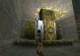 Tomb Raider I EU Steam Digital Key