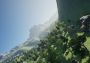 DreamFly VR Global Steam Digital Key