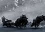 Fade to Silence United States Xbox One/Series Digital Key