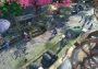 天命奇御 Fate Seeker ZH/ZH Global Steam Digital Key
