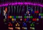 Dungeon Hearts EN Global Steam Digital Key