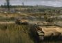 Steel Division 2 - History Pass EN/DE/FR/RU/ZH/ES Global Steam Digital Key