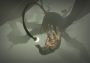 Outer Wilds ROW Steam Digital Key