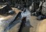 ARK: Survival Evolved EN EU Xbox One/Series Digital Key