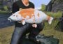 Euro Fishing - The Moat DLC EN/DE/FR/PL/RU Global Steam Digital Key