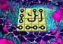 Loops of Zen EN Global Steam Digital Key