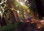 V-Rally 4 Ultimate Edition EN/DE/FR/IT/NL/RU Global Steam Digital Key