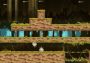 Upside Down EN Global Steam Digital Key