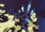 Shape of the World Global Steam Digital Key
