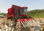 Farming Simulator 20 EU Nintendo Switch Digital Key
