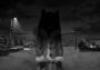 Tiny Bunny EN/RU/ZH Global Steam Digital Key