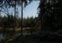 Evergreen: Mountain Life Simulator EN/DE/FR/IT/JA/RU/ZH/ES Global Steam Digital Key
