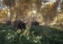 theHunter: Call of the Wild EU Xbox One/Series Digital Key