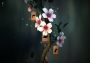 Zen Bound 2 EN Global Steam Digital Key