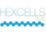 Hexcells Plus EN Global Steam Digital Key