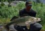 Fishing Sim World: Pro Tour - Jezioro Bestii DLC EN/DE/FR/PL/RU/ZH/ES Global Steam Digital Key