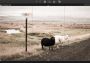 InPixio Photo Clip 8 Professional for Win EN Global Software License Digital Key