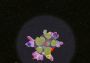 Cosmochoria EN/DE/FR/RU/ES Global Steam Digital Key