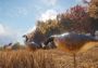 theHunter: Call of the Wild - Wild Goose Chase Gear DLC EU Xbox One/Series Digital Key