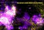 Beat Hazard - Epic Bundle Global Steam Digital Key