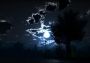 Hunted: One Step Too Far EN Global Steam Digital Key