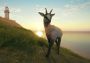 theHunter: Call of the Wild - Starter Bundle Global Steam Digital Key