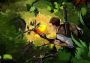 Swordbreaker: Origins Argentina Xbox Series Digital Key
