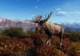 Way of the Hunter: Aurora Shores DLC Argentina Xbox Series Digital Key