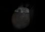 Is Simon There? EN/DE/IT/JA/KO Global Steam Digital Key