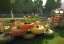 Garden Life: A Cozy Simulator - Eco-Friendly Decoration Set DLC EN Global Steam Digital Key