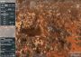 Offworld Trading Company: Scenario Toolkit DLC EN/DE/FR/PL/KO/PT/RU/ES Global Steam Digital Key