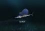 Ultimate Fishing Simulator - New Fish Species DLC Global Steam Digital Key