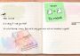 Lost Words: Beyond the Page EN/DE/FR/IT/ES Turkey Xbox One/Series Digital Key