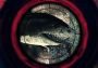Depth Global Steam Digital Key