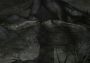 Scratches - Director's Cut EN Global Steam Digital Key