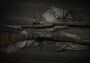 Hunt: Showdown - The Shadow Under the Cowl DLC Global Steam Digital Key