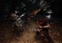 Xuan-Yuan Sword 7 Brazil Xbox One/Series Digital Key