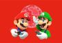 Nintendo Switch Online Individual Membership 12 Months PL Poland Nintendo Digital Key