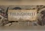 Field of Glory II Complete Edition EN Global Steam Digital Key