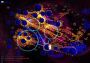 Galcon Fusion Global Steam Digital Key