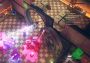 From Space EU Steam Digital Key