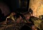 S.T.A.L.K.E.R.: Shadow of Chernobyl EU Steam Digital Key