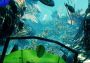 Atlantis VR EN Global Steam Digital Key