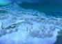 Ni no Kuni: Wrath of the White Witch EU Nintendo Switch Digital Key