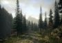 Alan Wake Collector's Edition Global Steam Digital Key