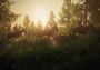 The Last of Us: Part I - Remake Deluxe Edition Turkey Steam Digital Key
