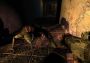 S.T.A.L.K.E.R.: Shadow of Chernobyl Global GOG Digital Key