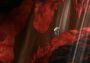 Waking Mars EN Global Steam Digital Key