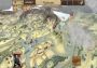 Merchants of Kaidan EN Global Steam Digital Key