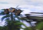 DIRT 5 - Power Your Memes Pack DLC Global Xbox One/Series Digital Key